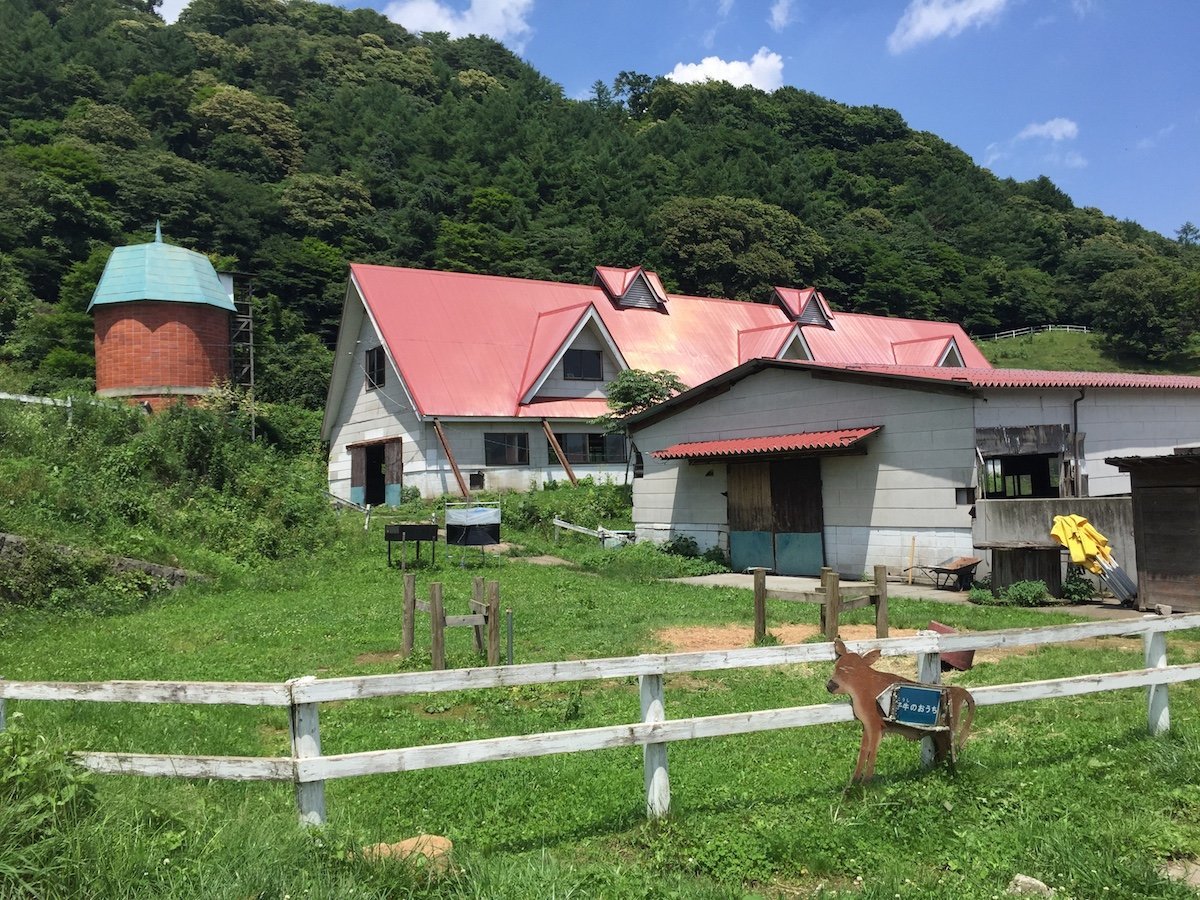 神津牧場 下仁田 大迫力 牛の大行進を見てきたよ