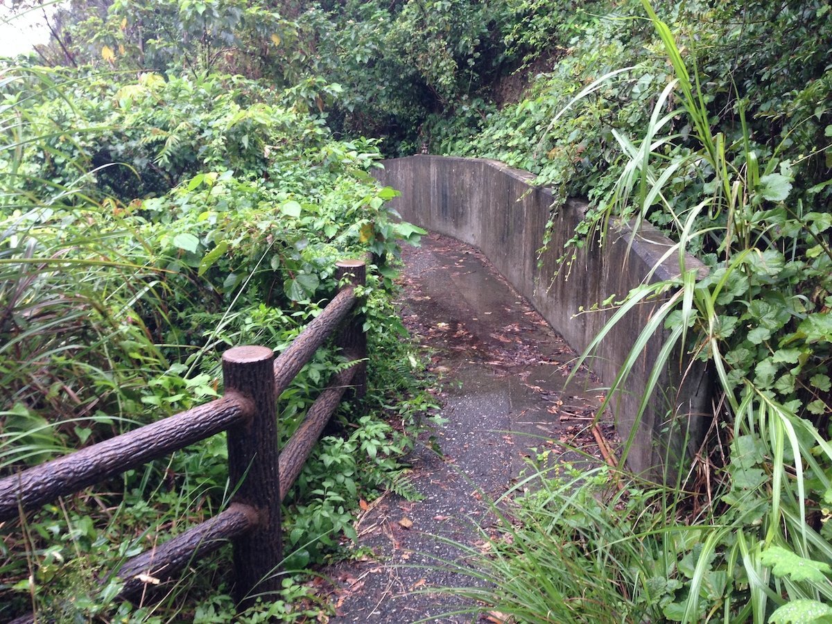 「五色の浜」まで山の狭い道を通って行く